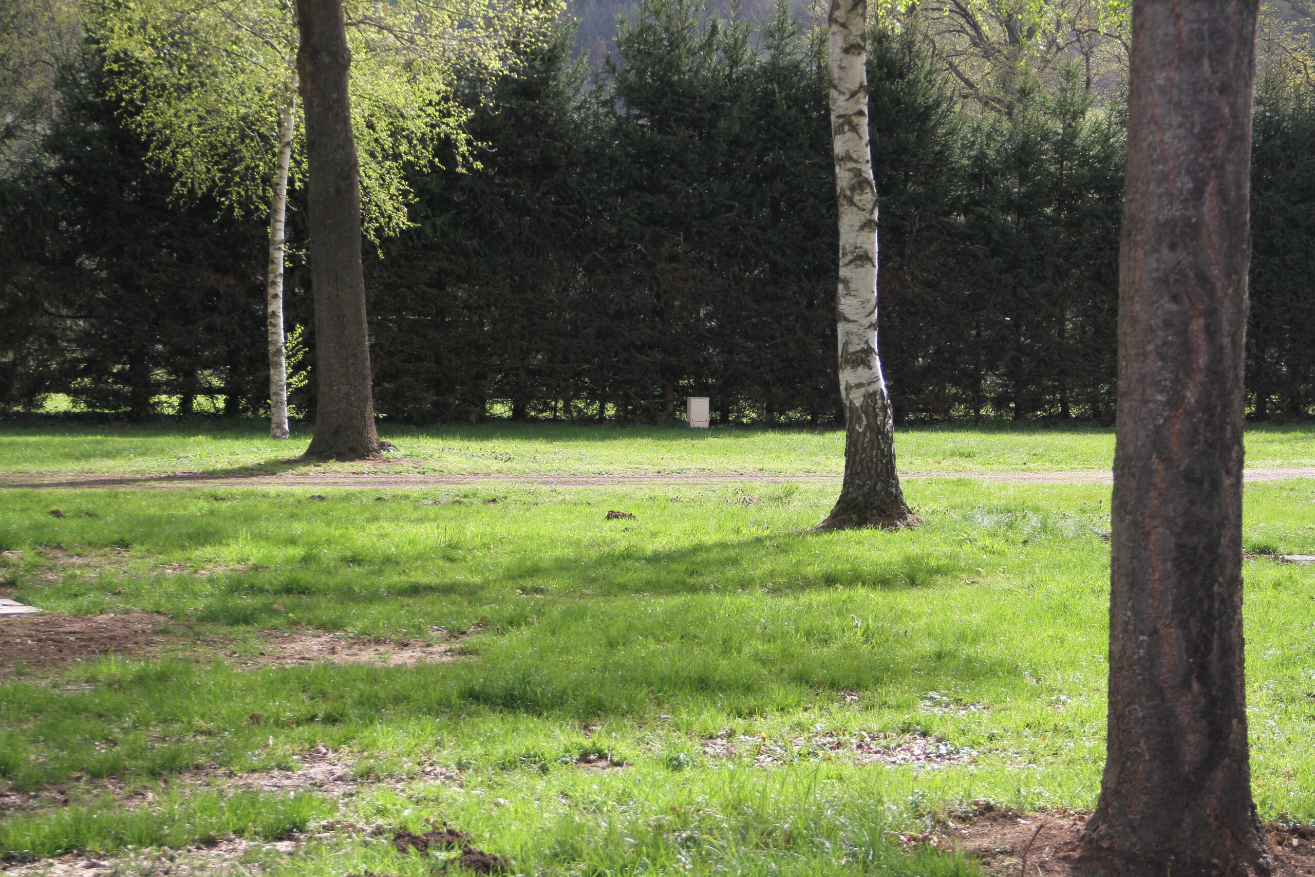 Bannière emplacementsolo